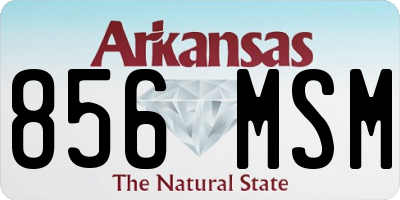 AR license plate 856MSM