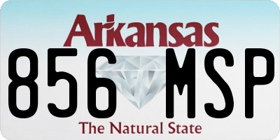 AR license plate 856MSP