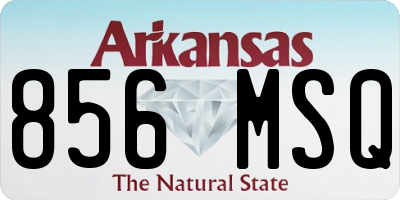 AR license plate 856MSQ