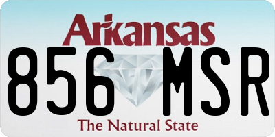 AR license plate 856MSR