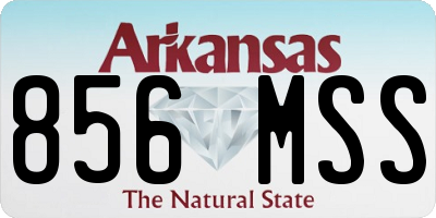 AR license plate 856MSS
