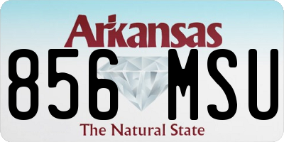 AR license plate 856MSU
