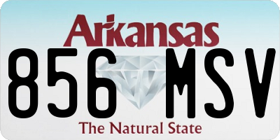 AR license plate 856MSV