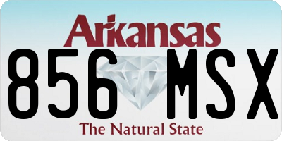 AR license plate 856MSX