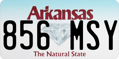 AR license plate 856MSY
