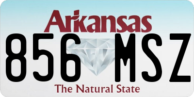 AR license plate 856MSZ