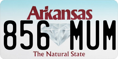 AR license plate 856MUM
