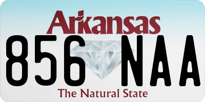AR license plate 856NAA