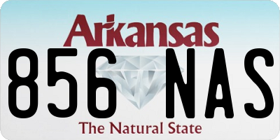AR license plate 856NAS