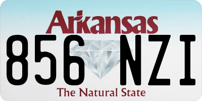 AR license plate 856NZI