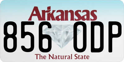 AR license plate 856ODP