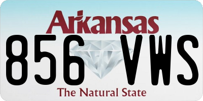 AR license plate 856VWS