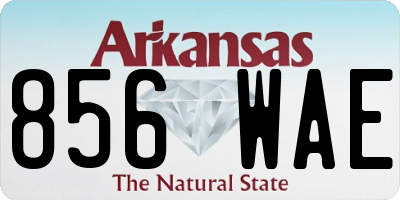 AR license plate 856WAE