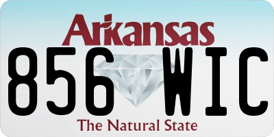 AR license plate 856WIC