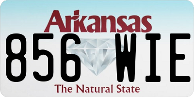 AR license plate 856WIE