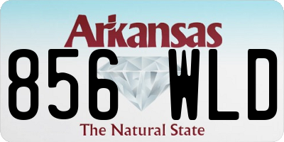 AR license plate 856WLD