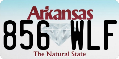 AR license plate 856WLF