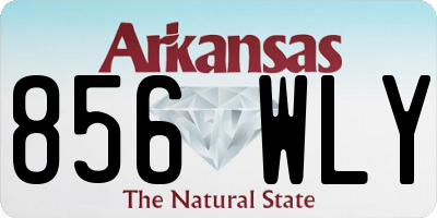 AR license plate 856WLY