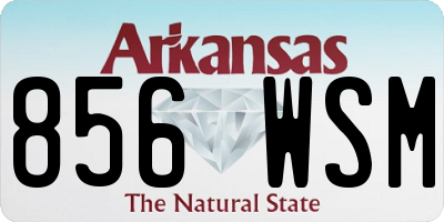 AR license plate 856WSM