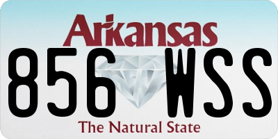 AR license plate 856WSS