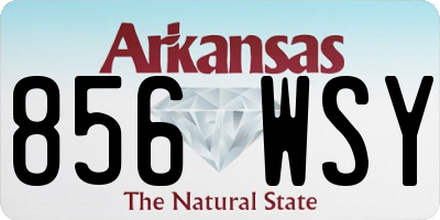 AR license plate 856WSY