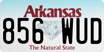AR license plate 856WUD