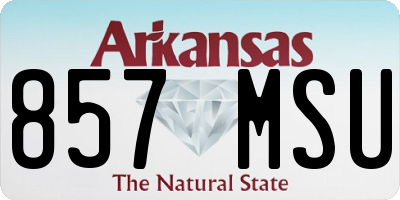 AR license plate 857MSU