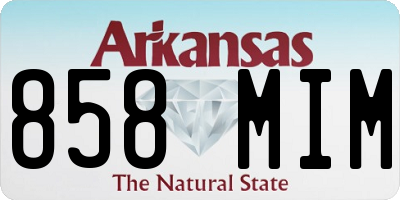 AR license plate 858MIM