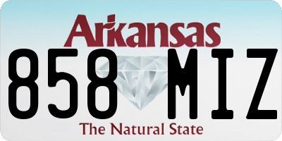 AR license plate 858MIZ