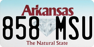 AR license plate 858MSU