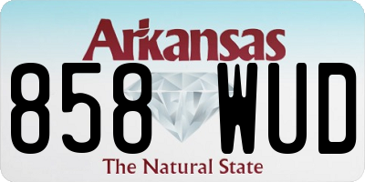 AR license plate 858WUD
