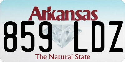AR license plate 859LDZ