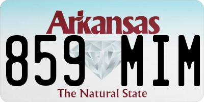 AR license plate 859MIM