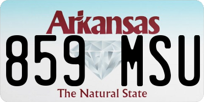AR license plate 859MSU