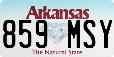AR license plate 859MSY