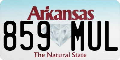AR license plate 859MUL