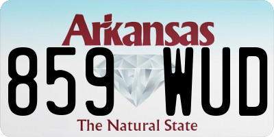 AR license plate 859WUD