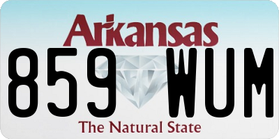 AR license plate 859WUM