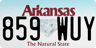 AR license plate 859WUY