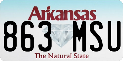 AR license plate 863MSU