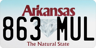 AR license plate 863MUL