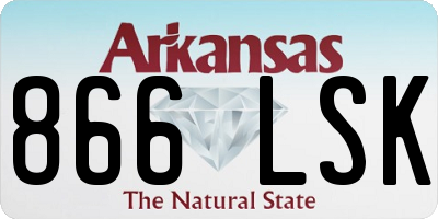 AR license plate 866LSK