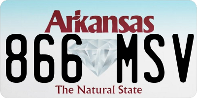 AR license plate 866MSV
