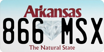 AR license plate 866MSX