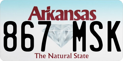 AR license plate 867MSK