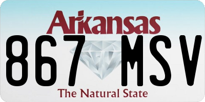 AR license plate 867MSV