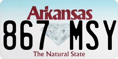 AR license plate 867MSY