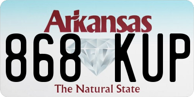 AR license plate 868KUP