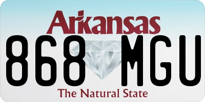 AR license plate 868MGU