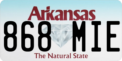 AR license plate 868MIE